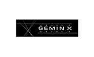 GeminX logo