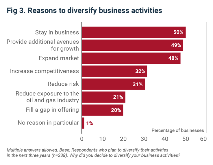 Reasons to diversify business activities