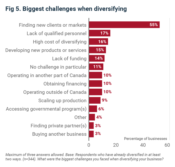 Biggest challenges when diversifying