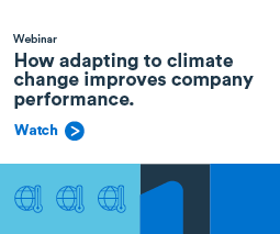 Adapting climate change improve company performance