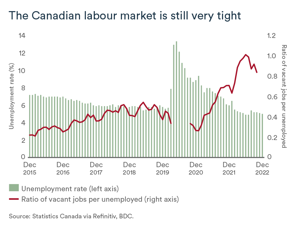 MEL January 2023 graph: Canada labour market