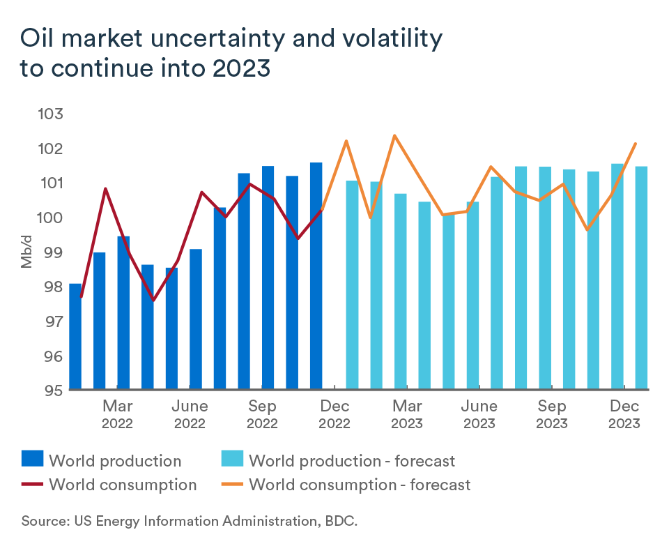 MEL January 2023 graph, Oil market