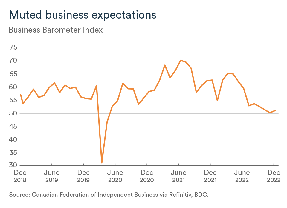 MEL January 2023 graph, Indicators business barometer index