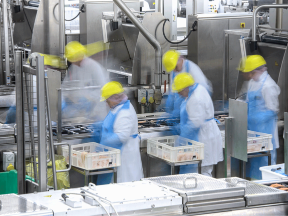 People wearing blue outfit with yellow helmets working in a food chain