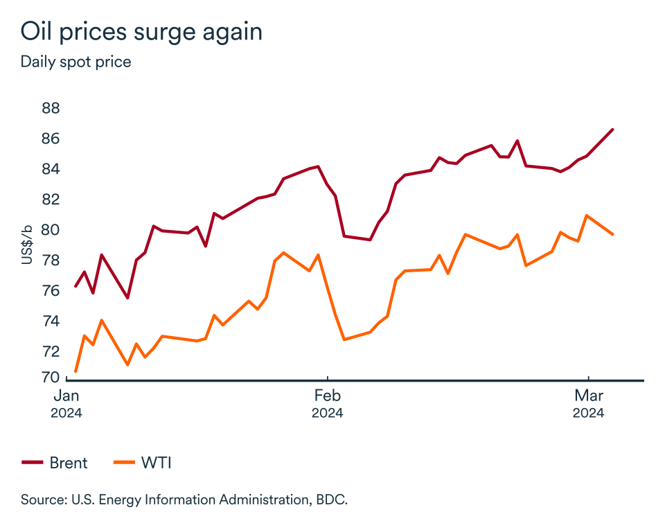 MEL March 2024 graph: Daily spot price