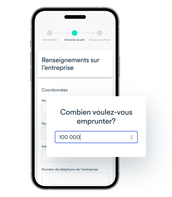 Mobile device featuring a simple form for entering company information