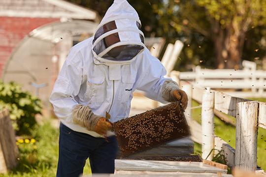Bill Townsley in beekeeping outfit outside at Festina Lente Estate Winery