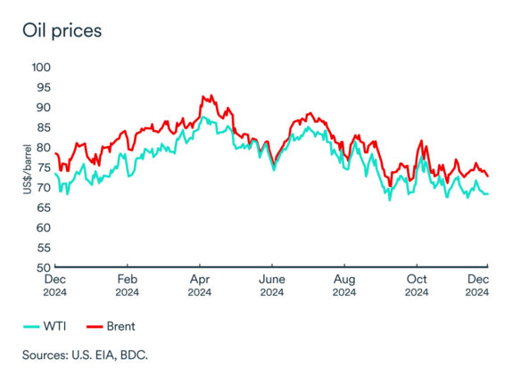 MEL December 2024 graph: Oil prices