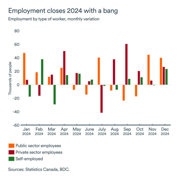 MEL January 2025 graph: Employment