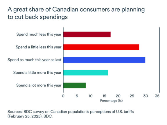 MEL March 2025 graph: Spending plans