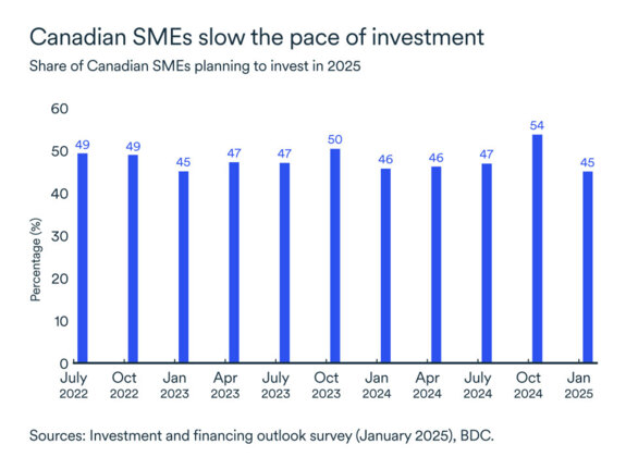 MEL March 2025 graph: SME investment plans