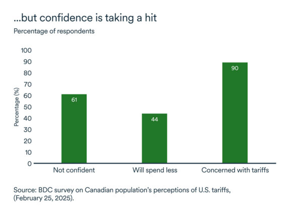 MEL March 2025 graph: Confidence, British Colombia